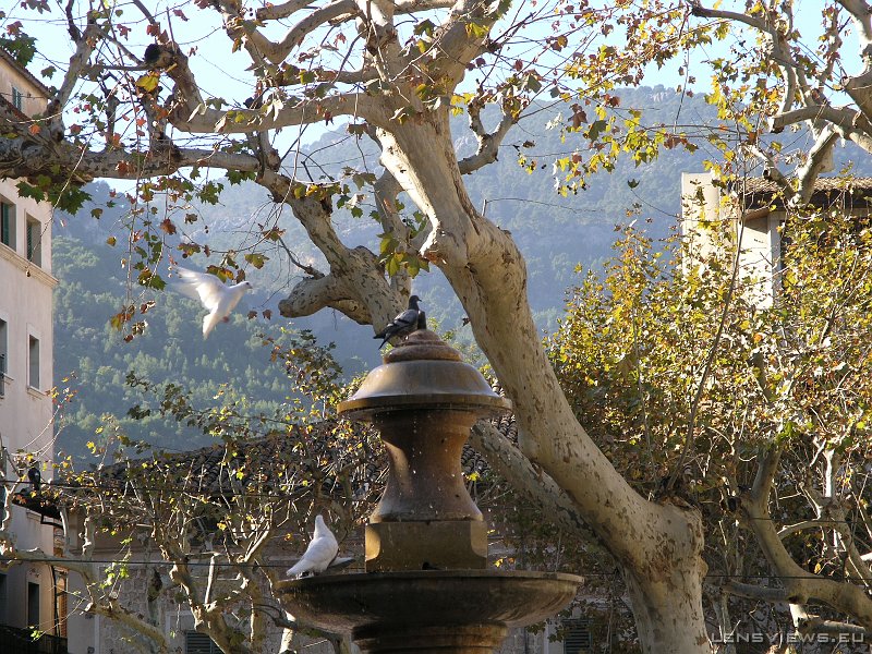 2006_11_23 13_29_26 OLYMPUS DIGITAL CAMERA         